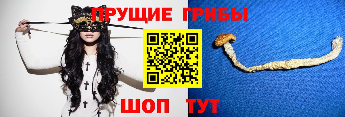 Дзержинский  Галлюциногенные грибы мицелий  Галлюциногенные грибы Magic Shrooms  Вход с VPN 