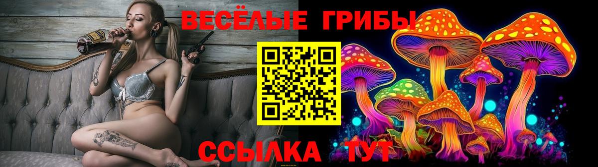 Псилоцибиновые грибы мицелий Дзержинский